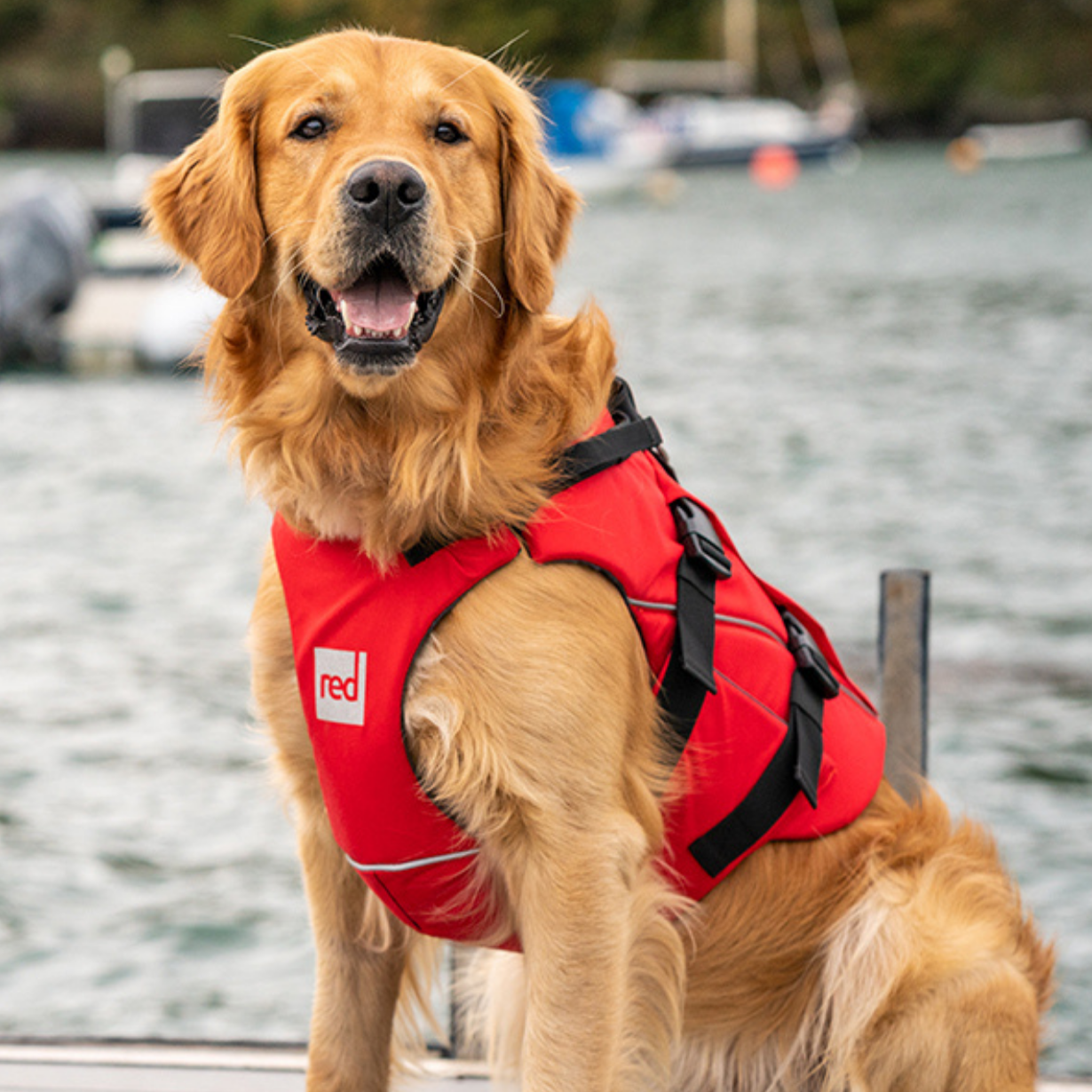 Red Paddle Co Dog Buoyancy Aid - Red