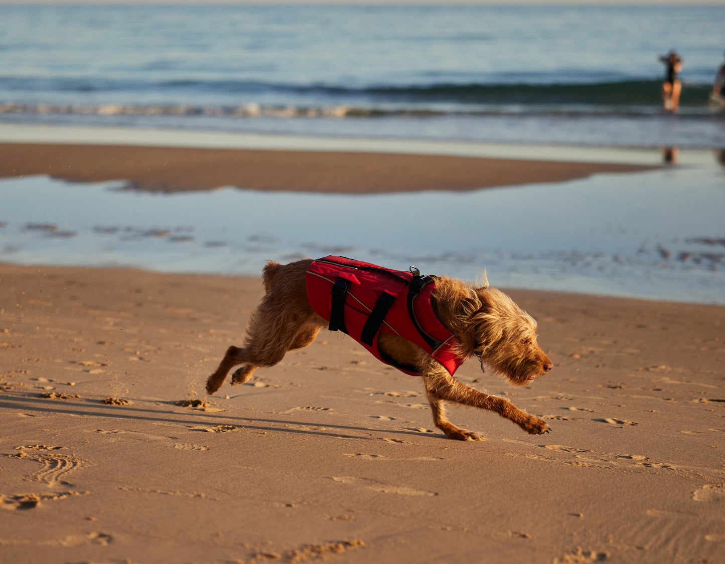 Red Paddle Co Dog Buoyancy Aid - Red