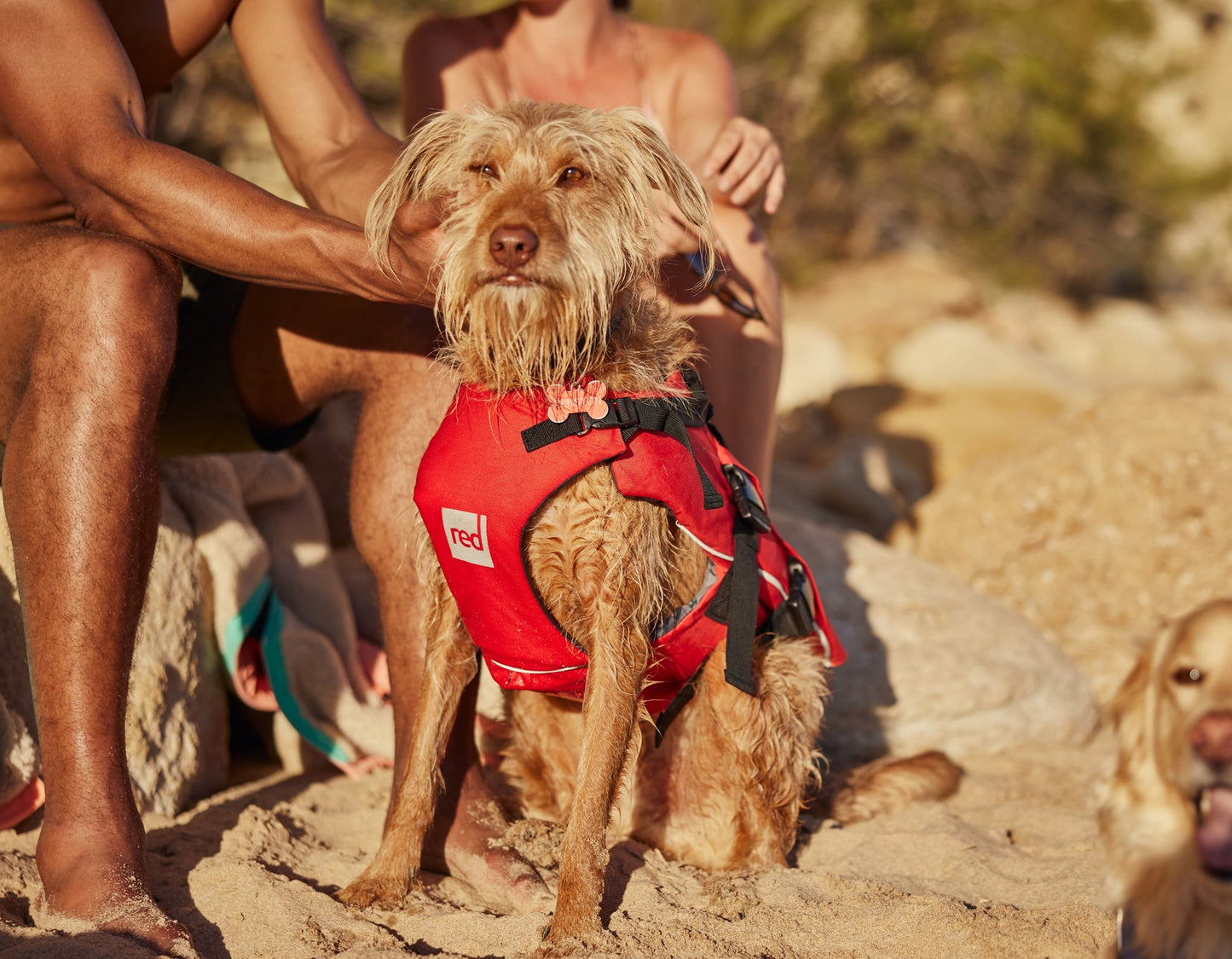 Red Paddle Co Dog Buoyancy Aid - Red