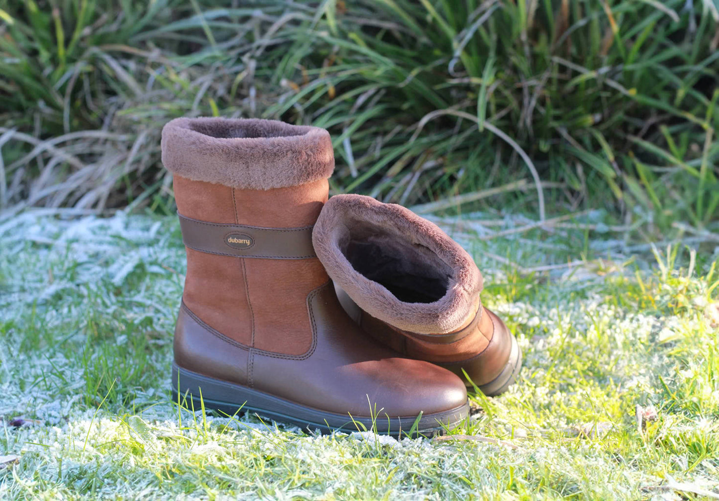 Dubarry Foxrock Country Boot - Walnut